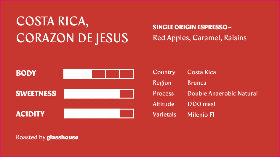 Costa Rica Corazon De Jesus