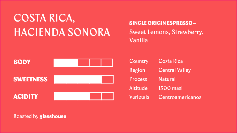 Costa Rica Hacienda Sonora