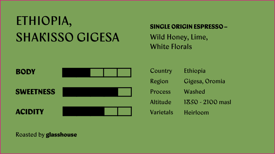 Ethiopia Shakisso Gigesa