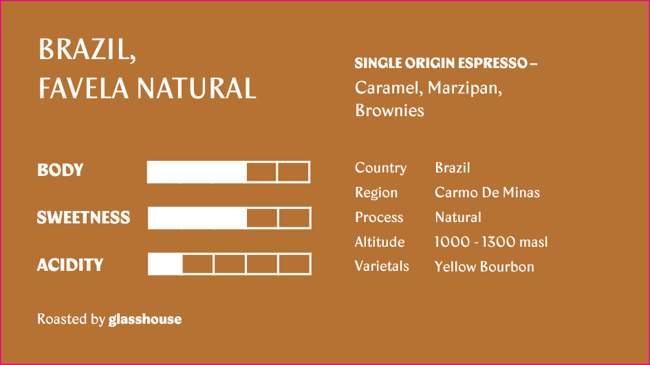 Brazil Favela Natural