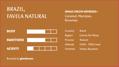 Brazil Favela Natural